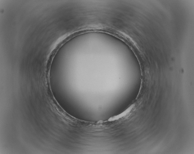 X0000076381168200610271520