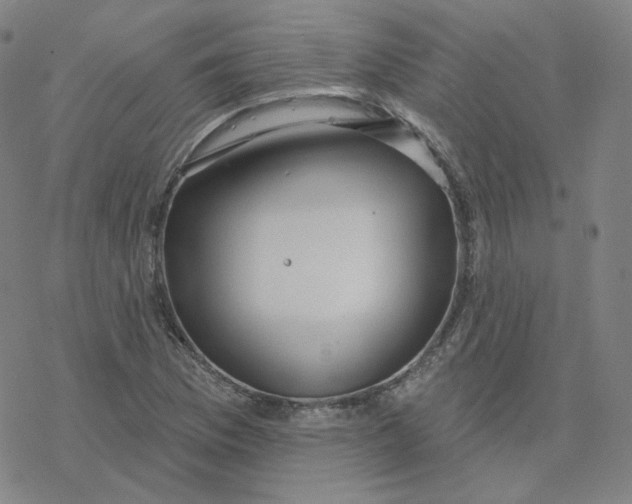 X0000076381169200610271520