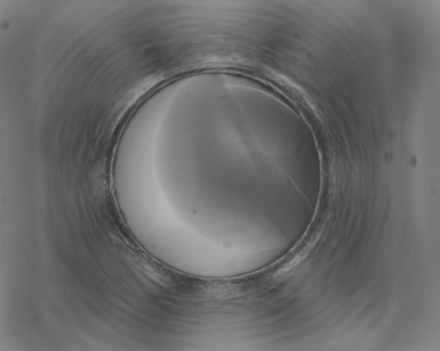 X0000076381170200610271520