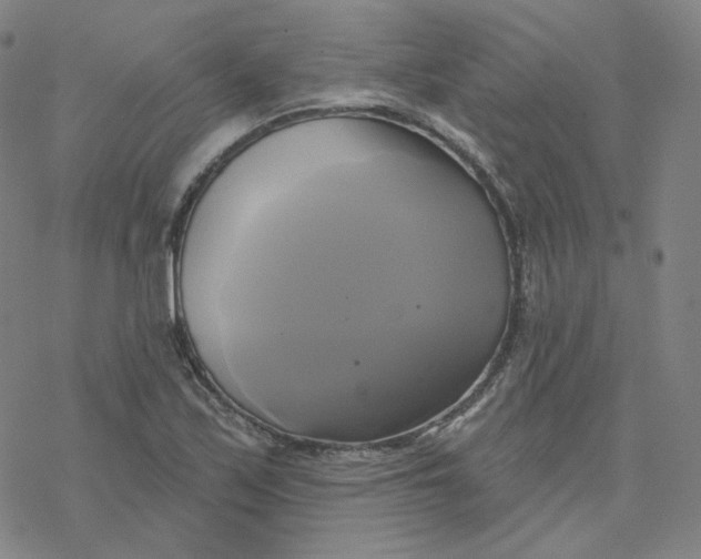 X0000076381171200610271520