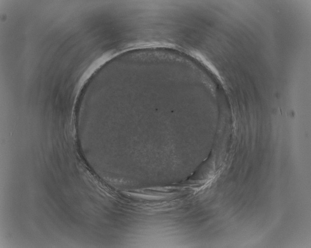 X0000076381173200610271520