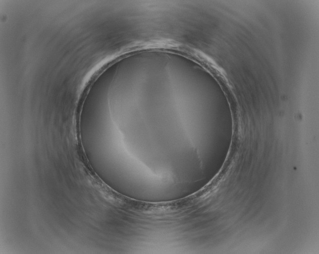 X0000076381174200610271520