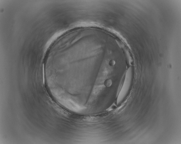 X0000076381175200610271520