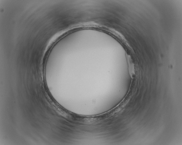 X0000076381176200610271520