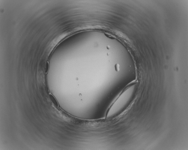 X0000076381177200610271520