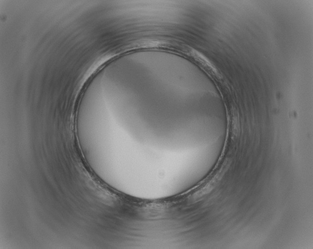 X0000076381178200610271520