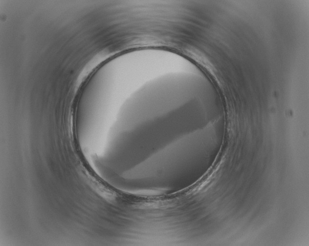 X0000076381179200610271520