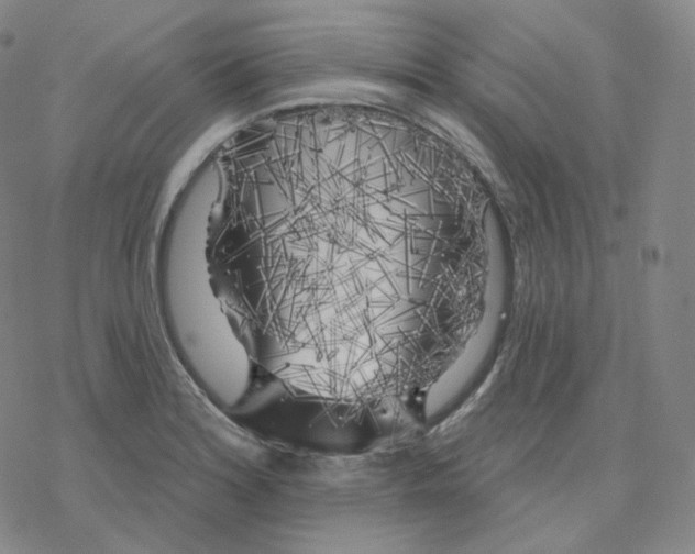 X0000076381180200610271520