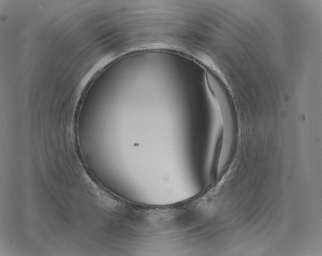 X0000076381181200610271520