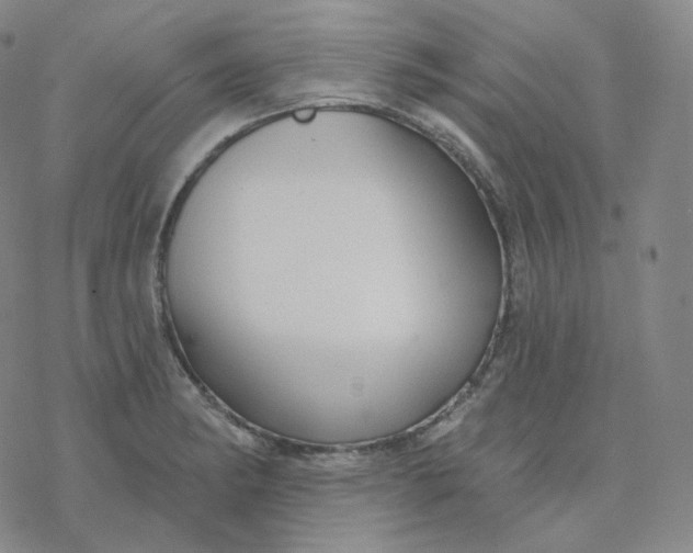 X0000076381182200610271520