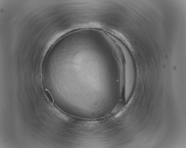 X0000076381184200610271520