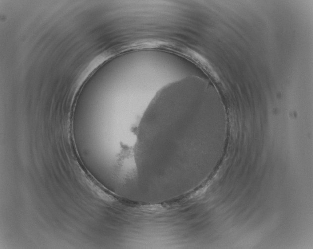 X0000076381186200610271520