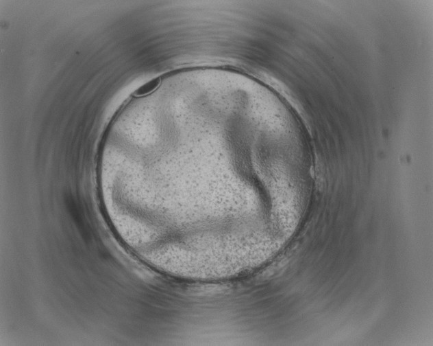 X0000076381187200610271520