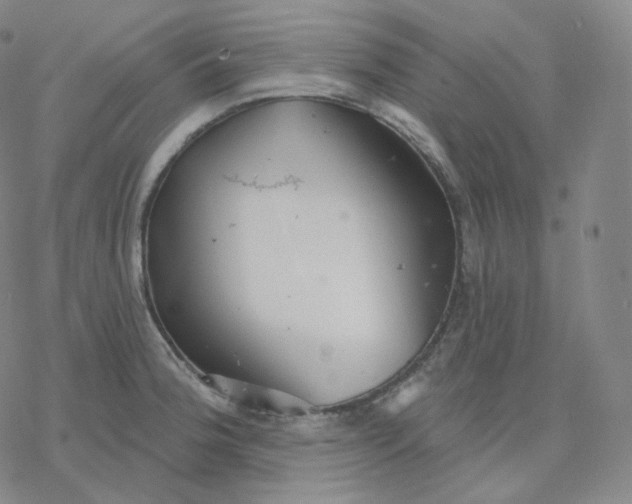 X0000076381188200610271520