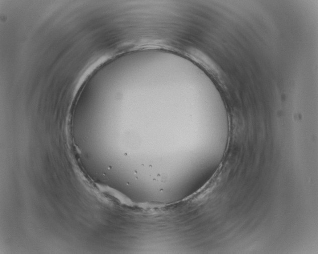 X0000076381190200610271520