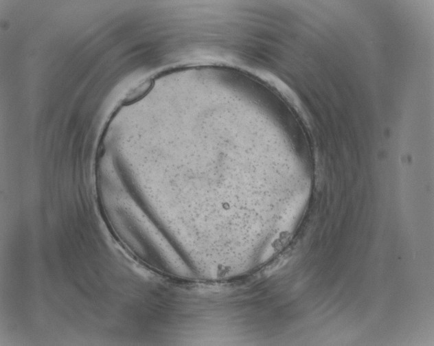 X0000076381191200610271520