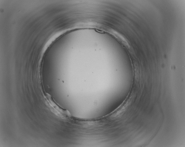 X0000076381192200610271520