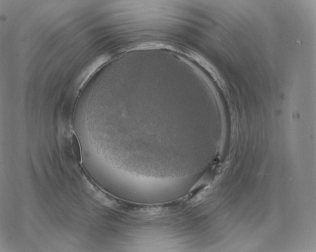 X0000076381193200610271520