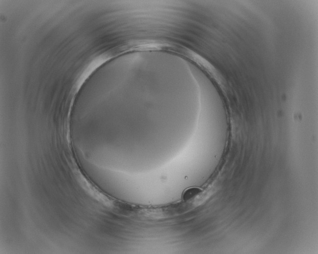 X0000076381194200610271520