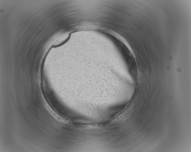 X0000076381195200610271520