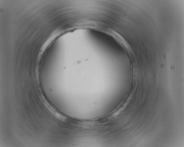 X0000076381196200610271520