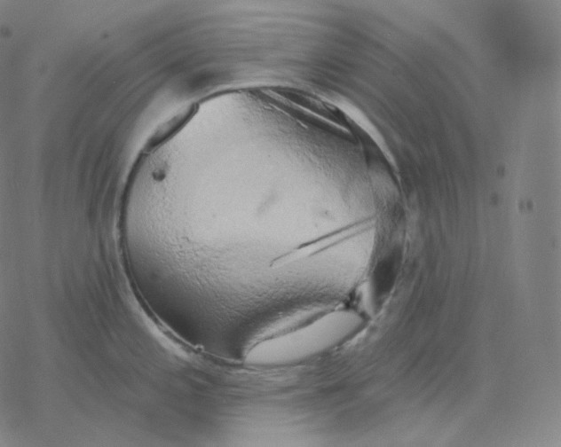 X0000076381197200610271520