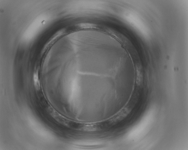 X0000076381198200610271520