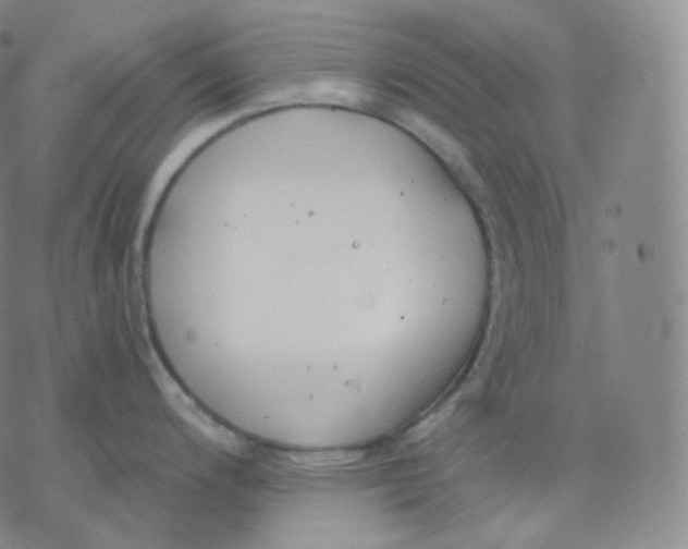 X0000076381200200610271520