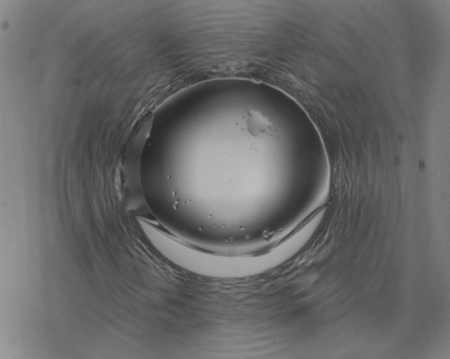 X0000076381202200610271519