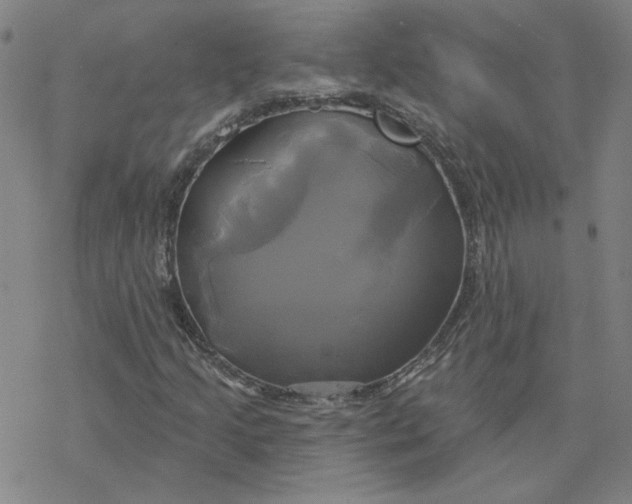 X0000076381205200610271519