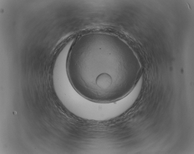 X0000076381206200610271519