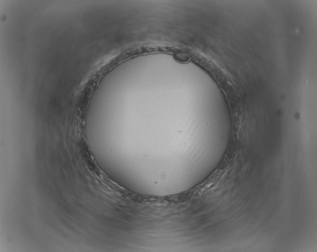 X0000076381207200610271519