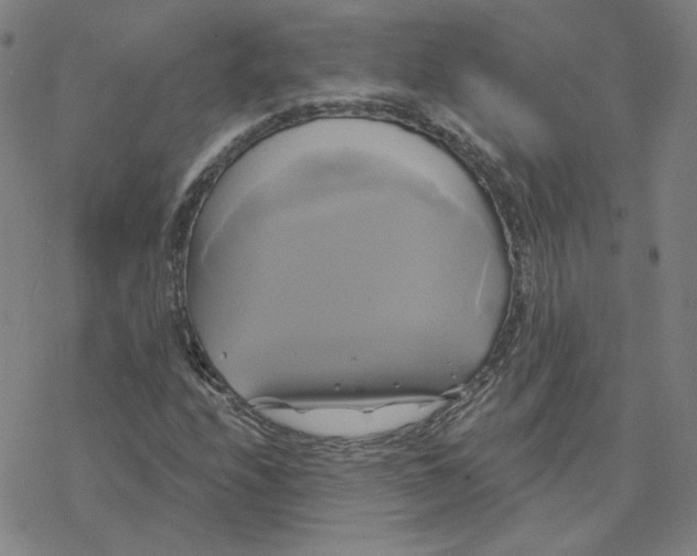 X0000076381208200610271519