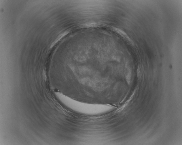 X0000076381209200610271519