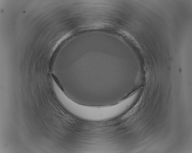 X0000076381210200610271519