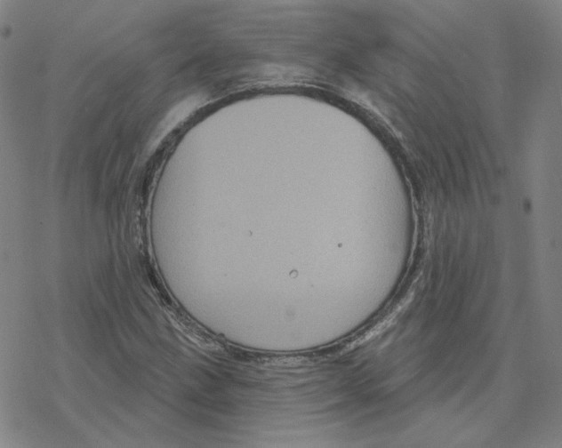 X0000076381211200610271519