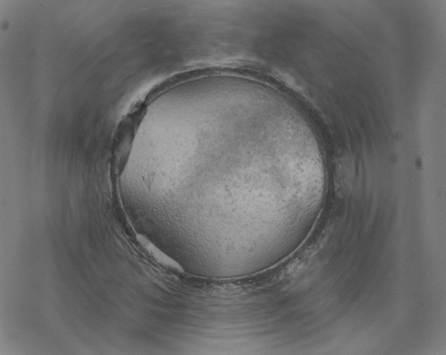 X0000076381214200610271519