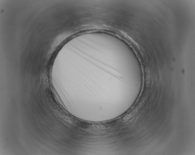 X0000076381215200610271519