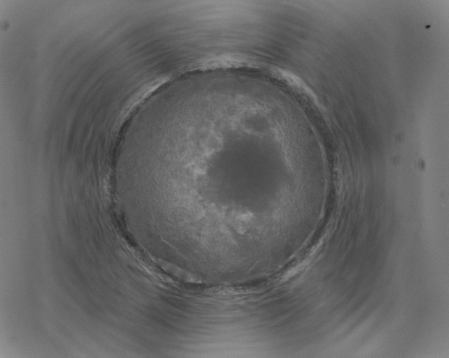 X0000076381217200610271519