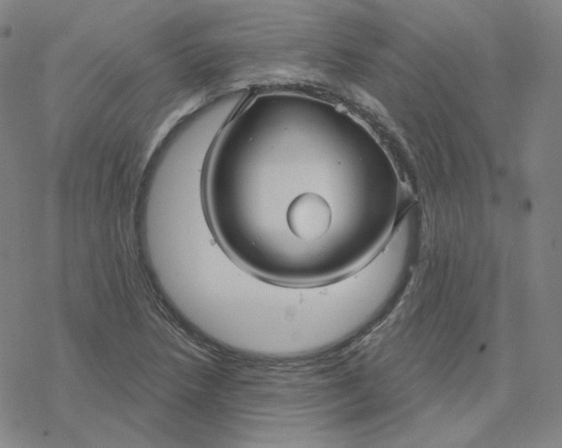 X0000076381218200610271519