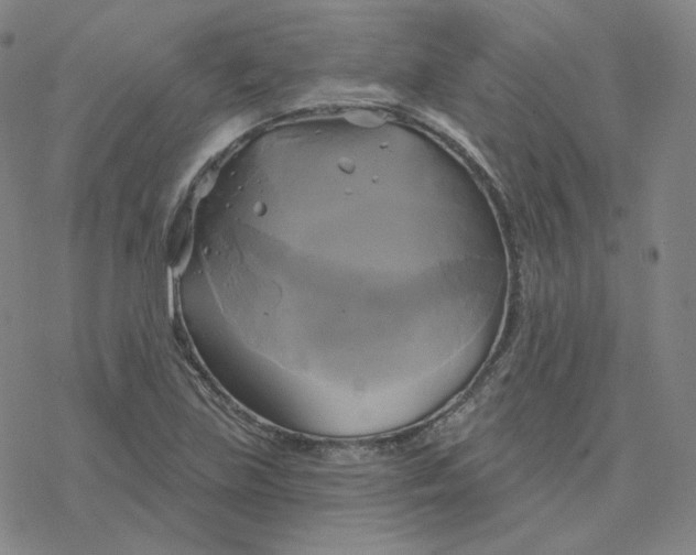 X0000076381219200610271519