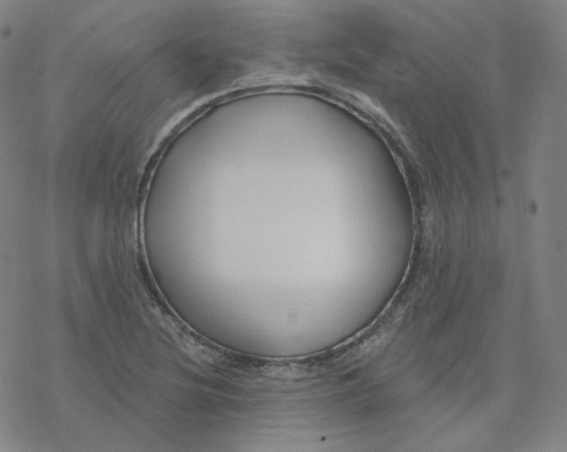 X0000076381220200610271519