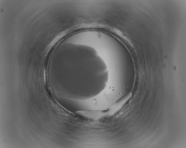 X0000076381221200610271519