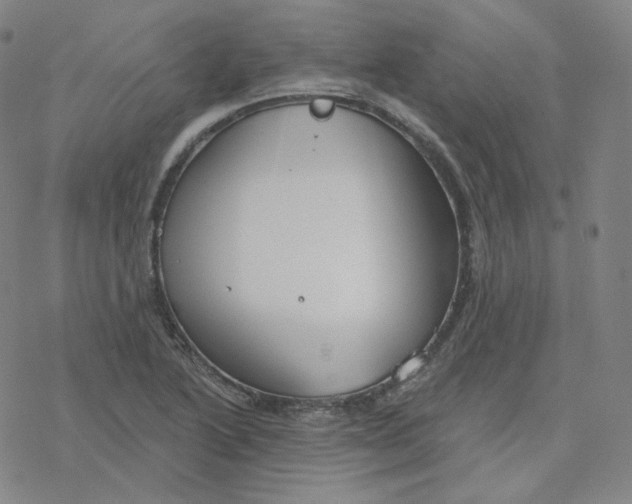 X0000076381222200610271519