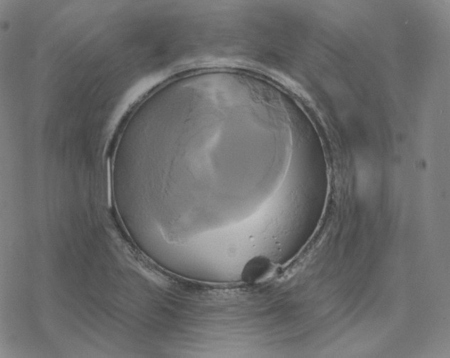 X0000076381223200610271519