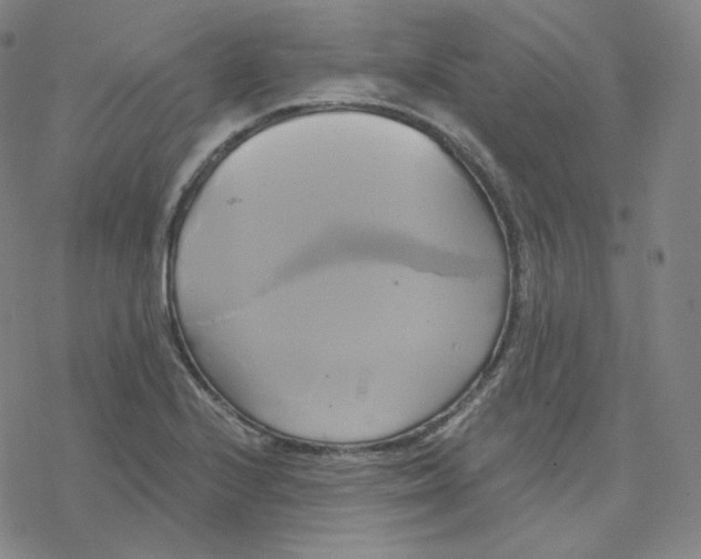 X0000076381224200610271519