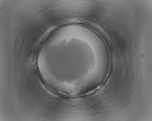 X0000076381225200610271520