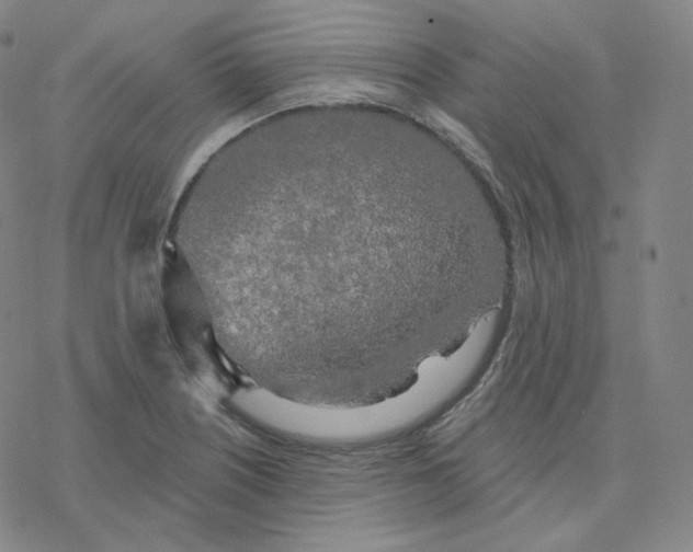 X0000076381226200610271520