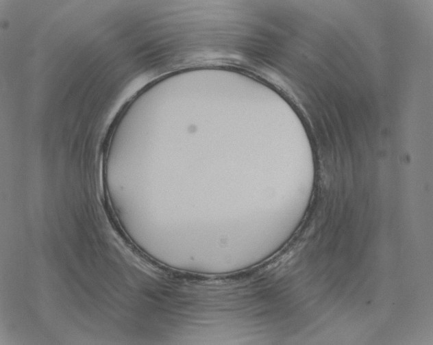 X0000076381227200610271520