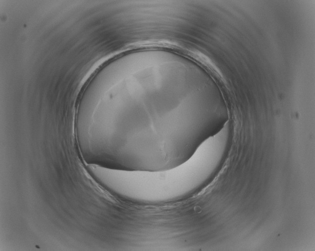 X0000076381228200610271520